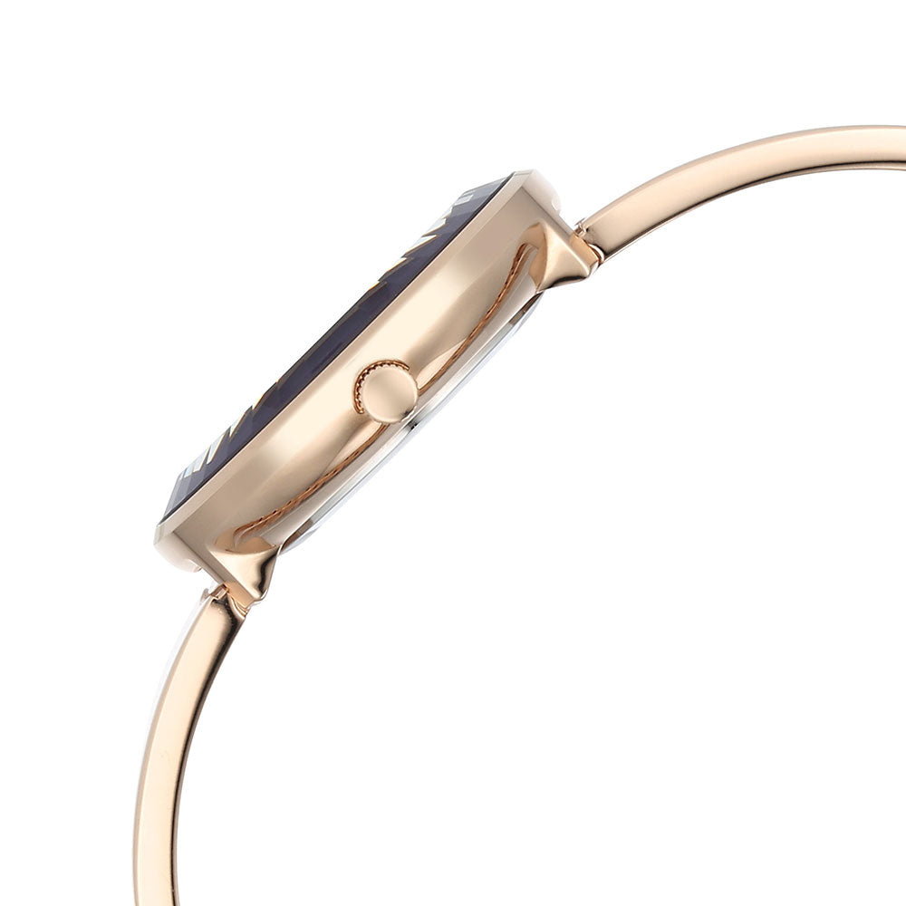 TITAN Women Raga - 95276WM01