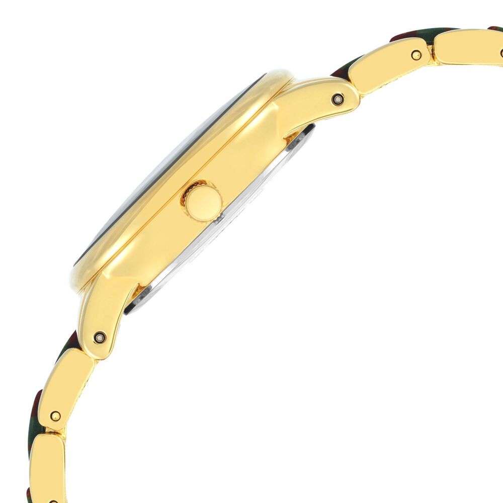 Anne Klein Quartz Analog Green Dial Plastic Strap Watch For Women