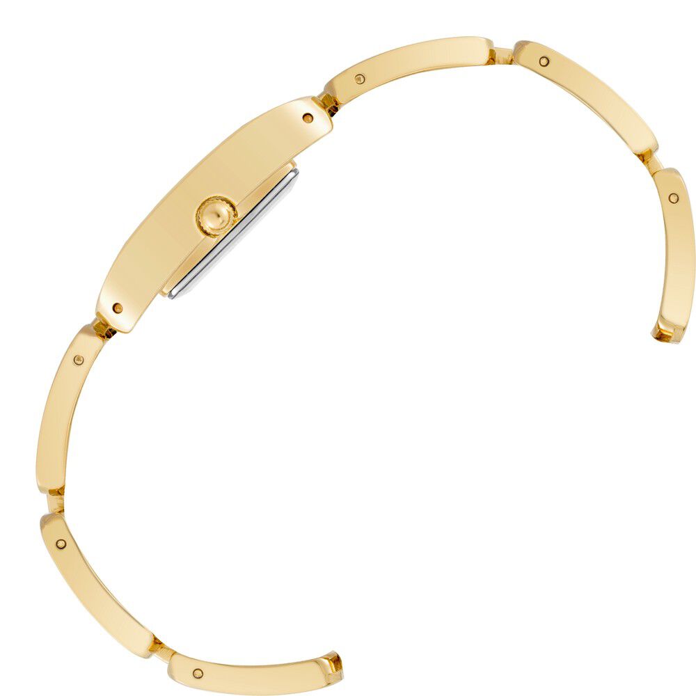 Anne Klein Quartz Analog Pink Dial Plastic Strap Watch for Women