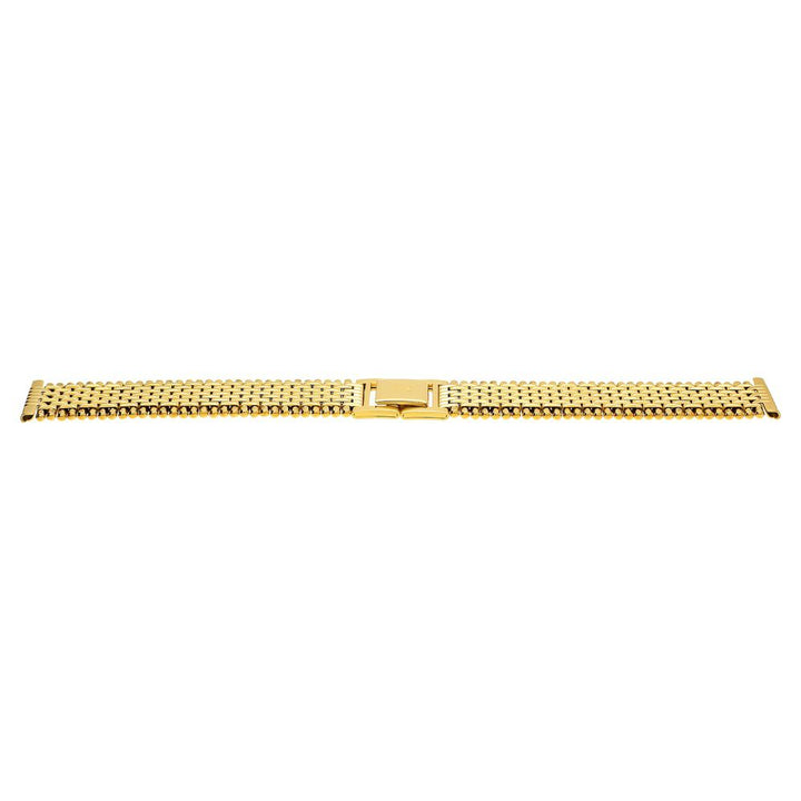 18 mm Golden Stainless Steel Straps for Men-CSF18400P/P