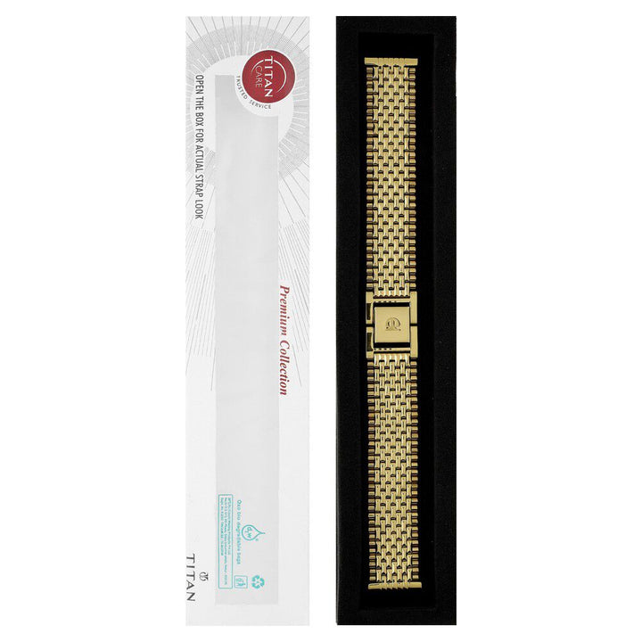 18 mm Golden Stainless Steel Straps for Men-CSF18400P/P