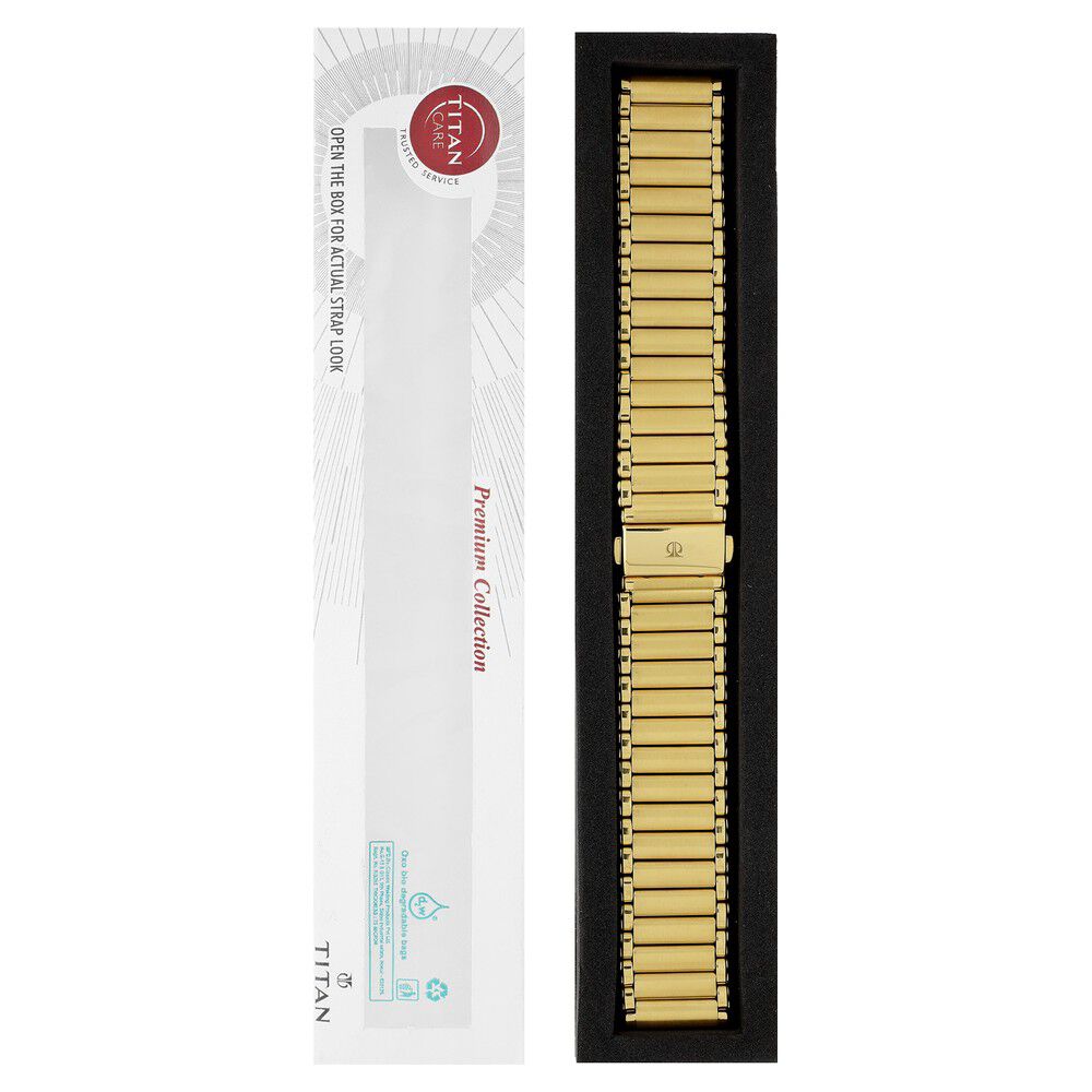 20 mm Golden Stainless Steel Straps for Men-CSF2010730P/P