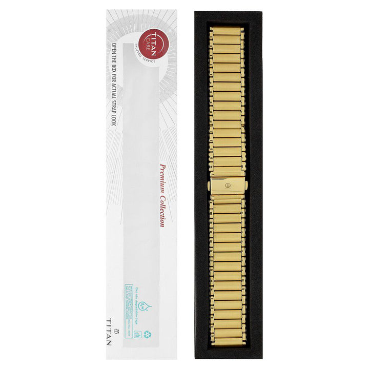 20 mm Golden Stainless Steel Straps for Men-CSF2010730P/P
