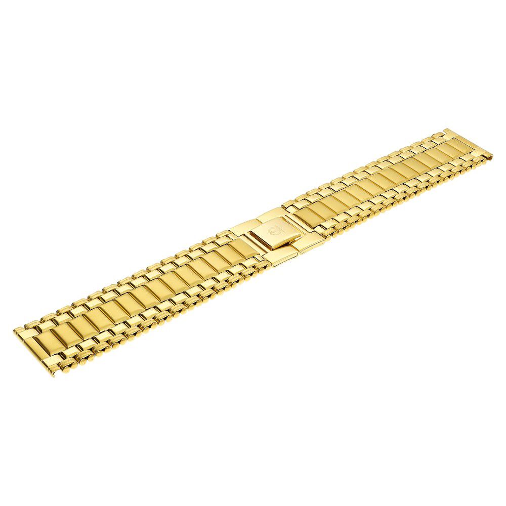 22 mm Golden Stainless Steel Straps for Men-CSF22181969P/P
