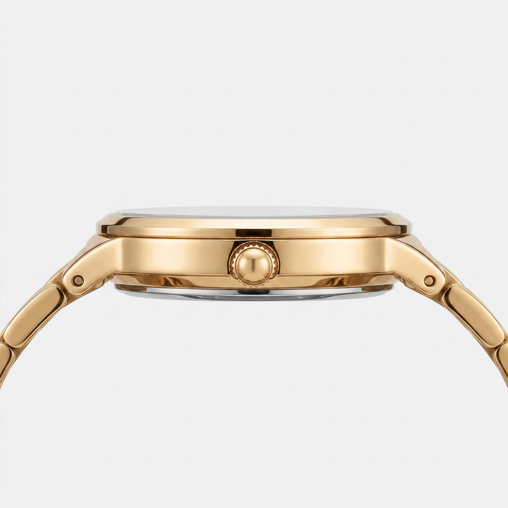 Daniel Wellington DW0DL2300 Black Dial Women&