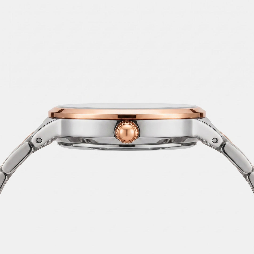 Daniel Wellington DW0DL2301 Grey Dial Women&