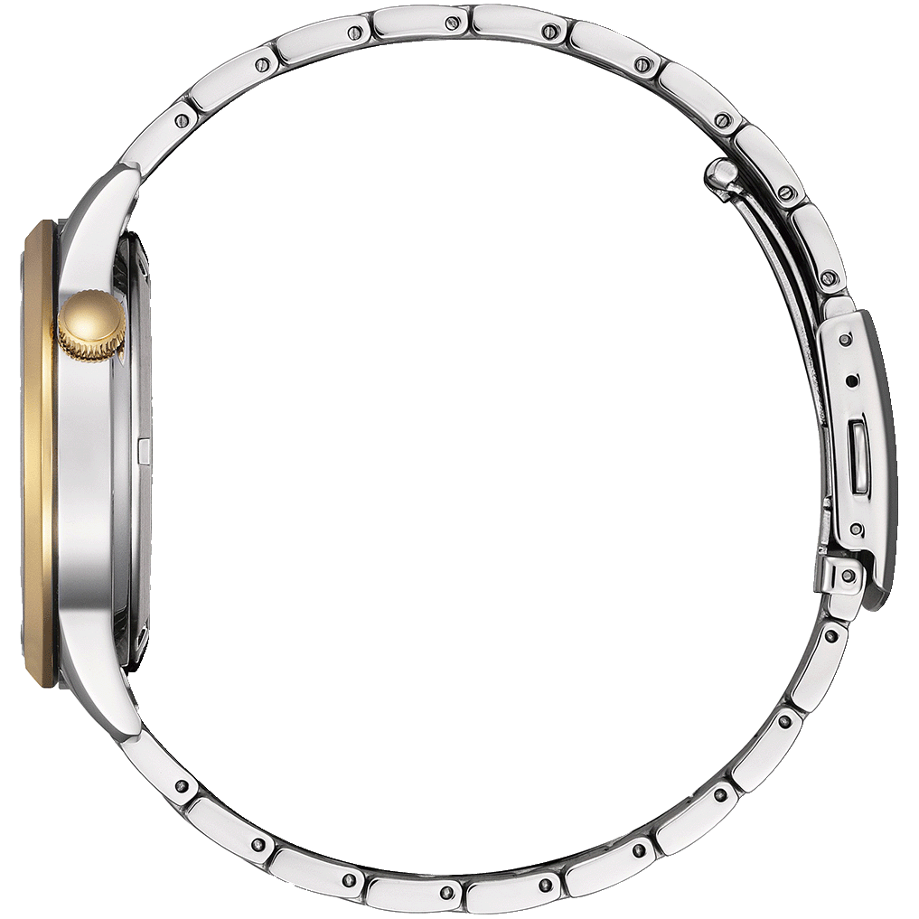 Elegant Automatic Citizen NH9134-83X Open Heart Watch