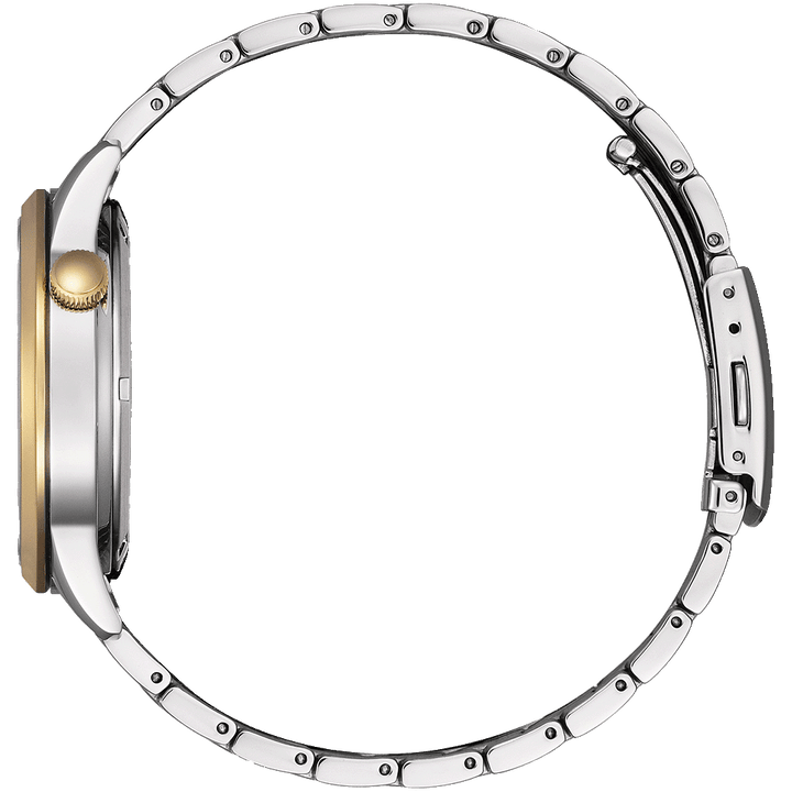 Elegant Automatic Citizen NH9134-83X Open Heart Watch