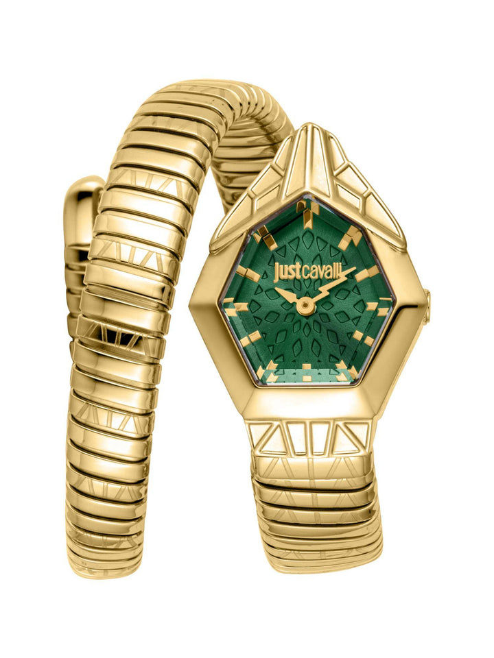 Just Cavalli Avorio JC1L358M0235 Green Dial Women&