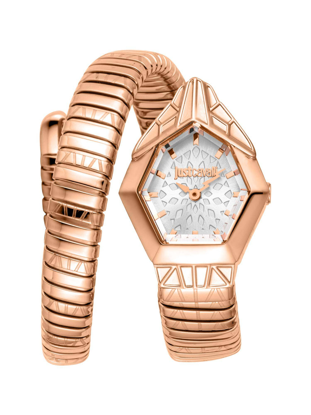 Just Cavalli Avorio JC1L358M0245 Silver Dial Women&