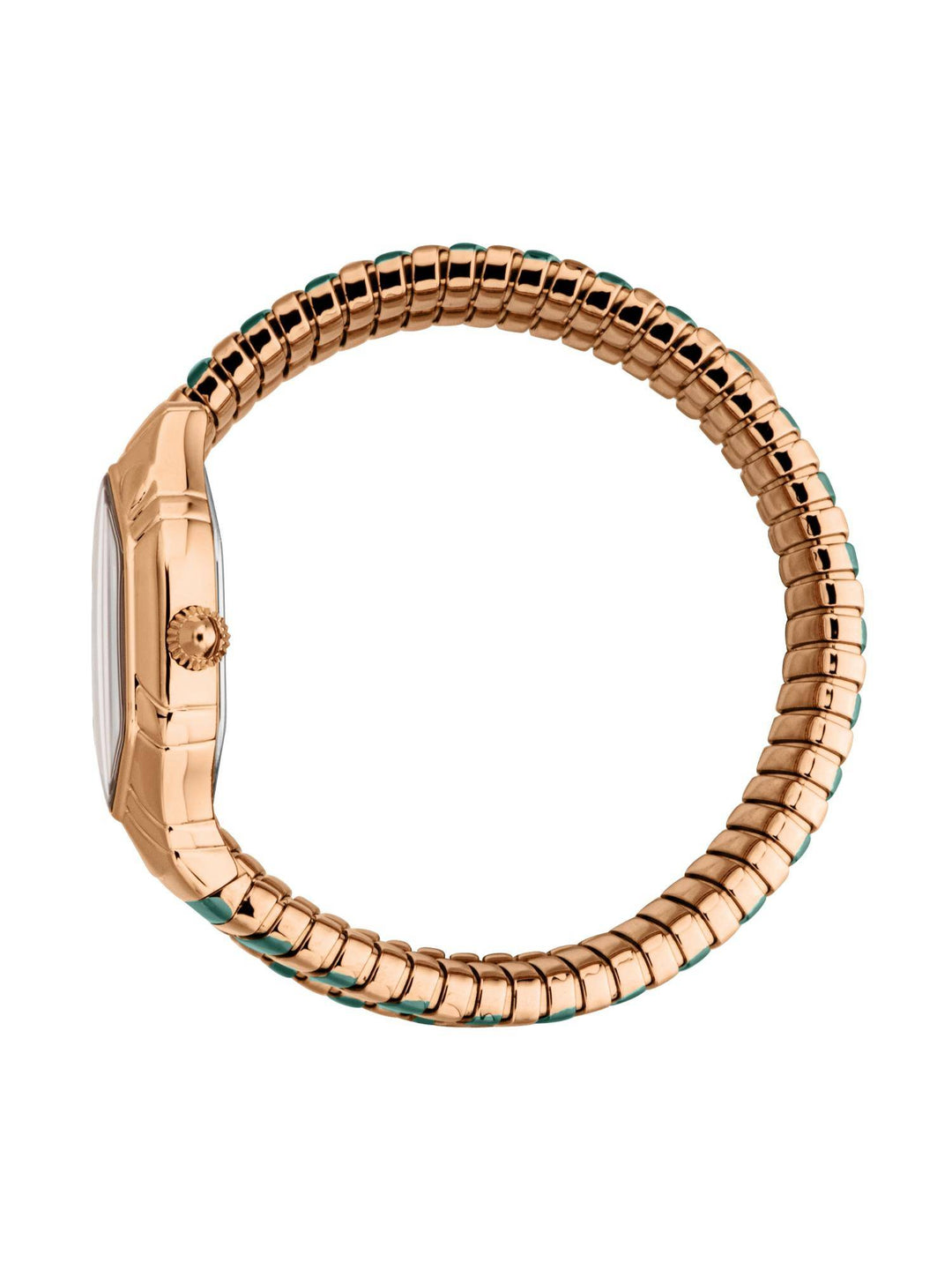 Just Cavalli Candela JC1L429M0065 Green Dial Women&