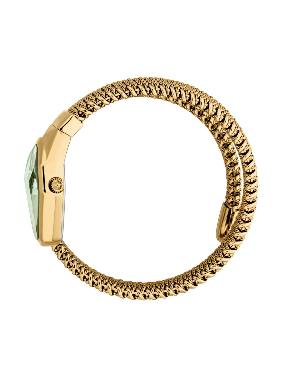 Just Cavalli Gioia JC1L455M0035 Green Dial Women&