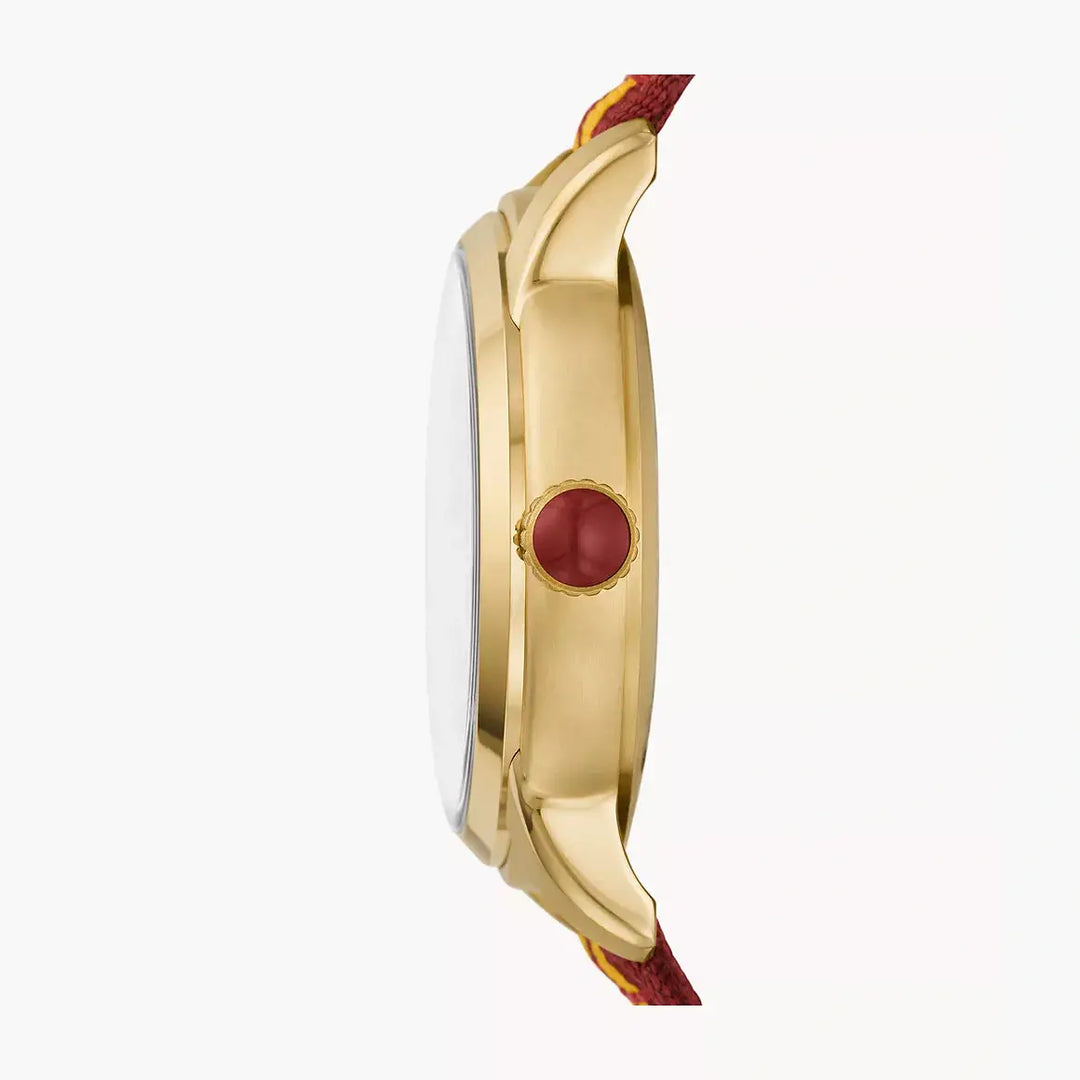 Fossil Limited Edition Harry Potter™ Three-Hand Gryffindor™ Nylon Watch