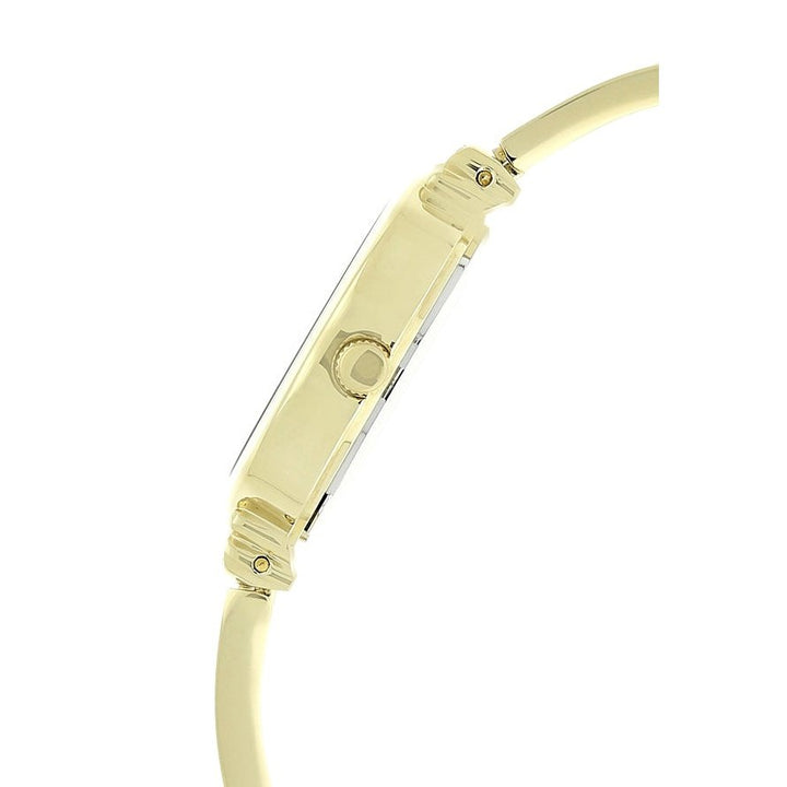 Anne Klein AK2216IVGBJ Analog Watch For Women