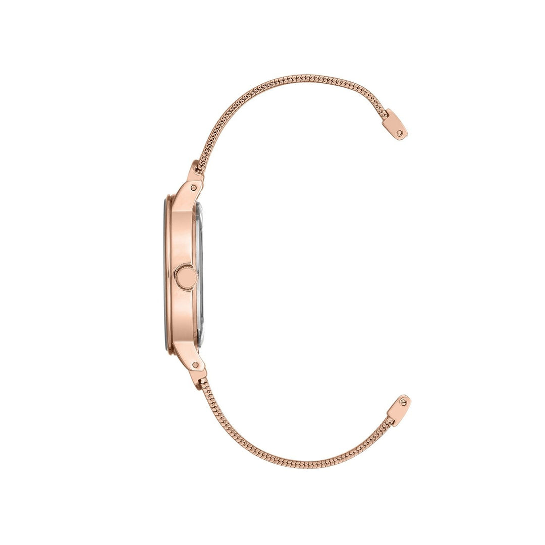 Anne Klein AK3220RGRG Analog Watch For Women