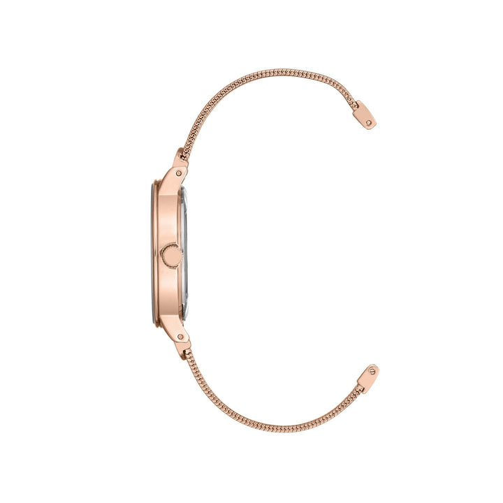 Anne Klein AK3220RGRG Analog Watch For Women