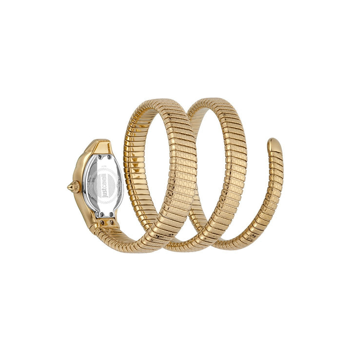 JUST CAVALLI JC1L168M0045 Analog Watch For Women