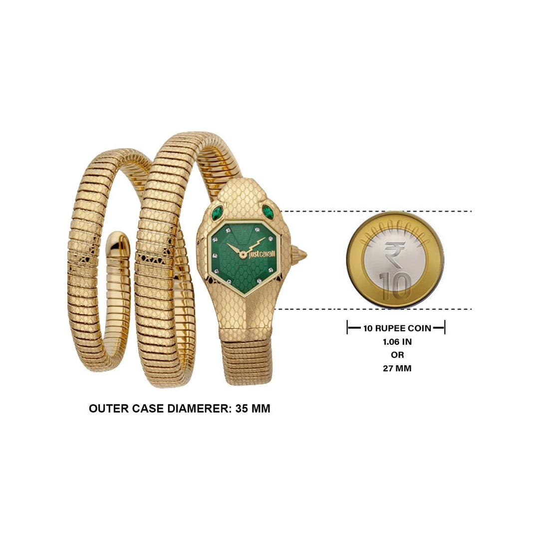 JUST CAVALLI JC1L168M0045 Analog Watch For Women