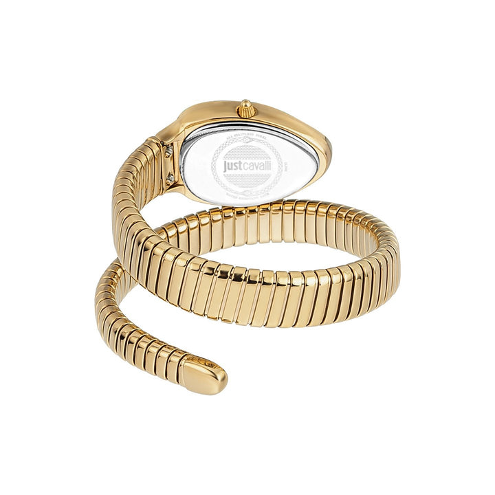 JUST CAVALLI JC1L208M0045 Analog Watch For Women