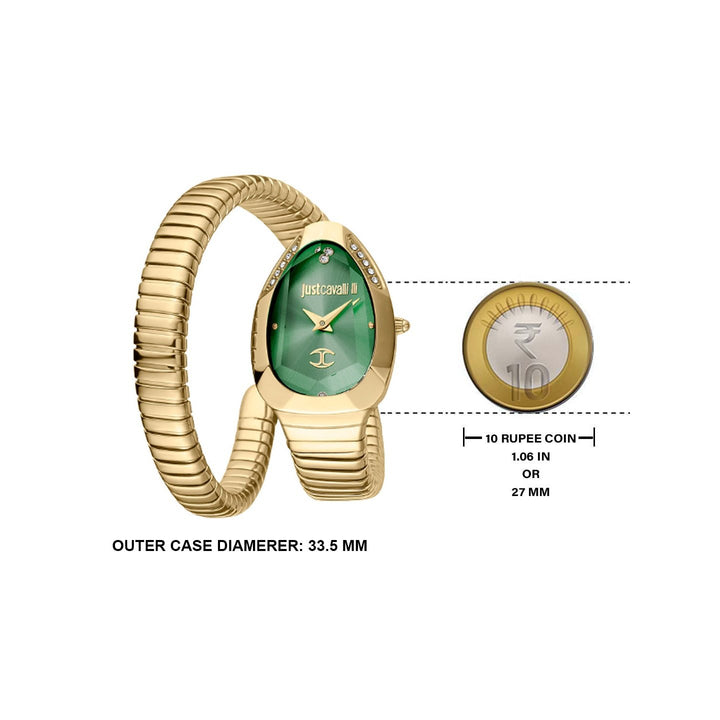 JUST CAVALLI JC1L208M0045 Analog Watch For Women