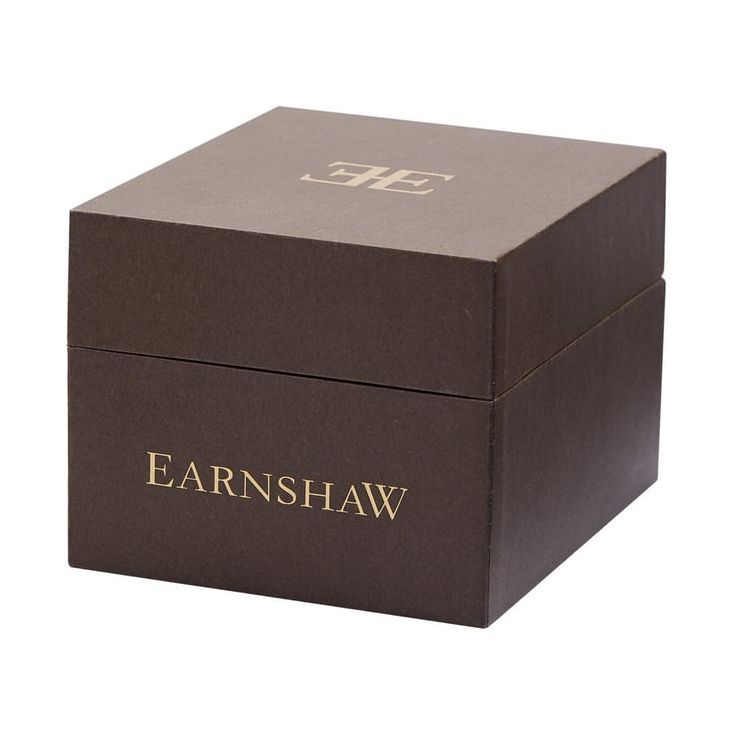 EARNSHAW ES-8274-44 Babbage Skeleton 21 Jewels Automatic Watch for Men