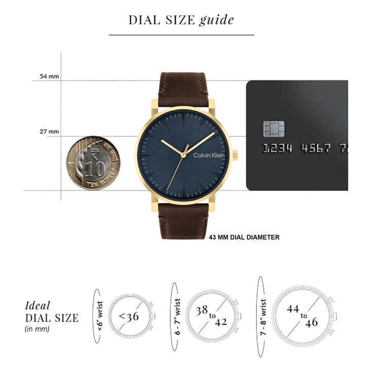 CALVIN KLEIN 25200261 Slate Analog Watch For Men