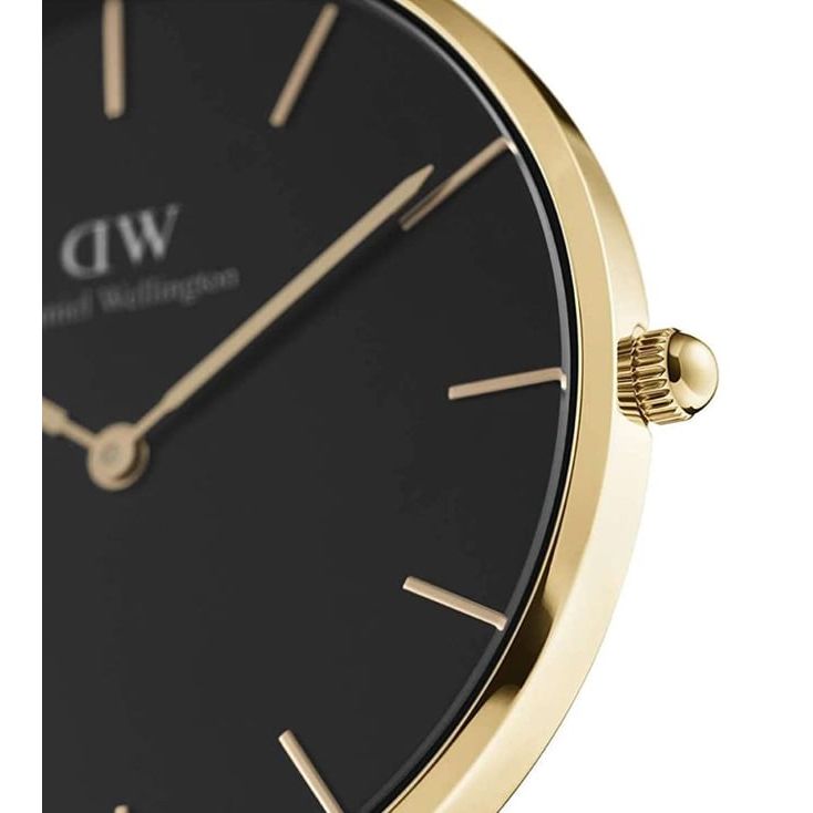 DW00100345 Petite Evergold Unisex Watch