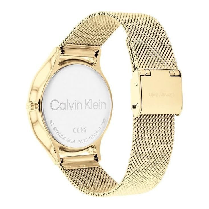 CALVIN KLEIN Men Ck Timeless Quartz