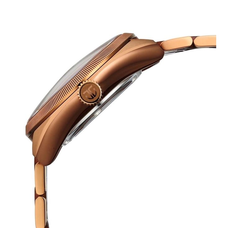 Stellar Automatic Men 43 mm 10011QM01