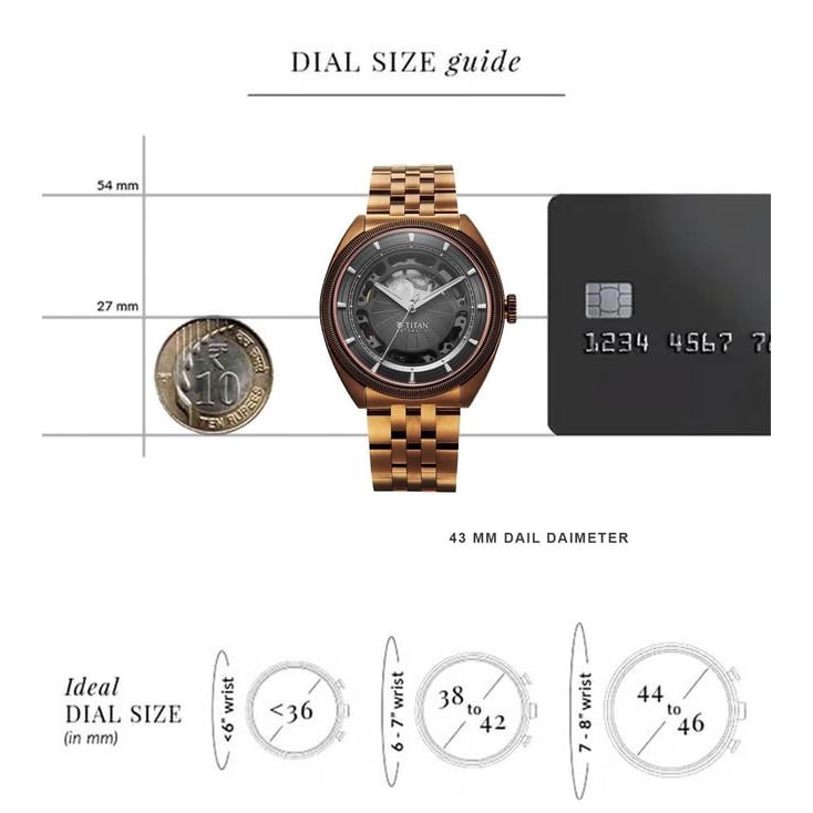 Stellar Automatic Men 43 mm 10011QM01