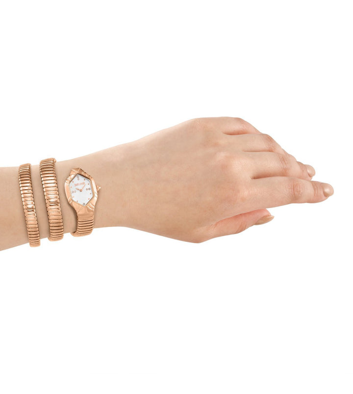Just Cavalli Candela JC1L429M0035 Silver Dial Women&