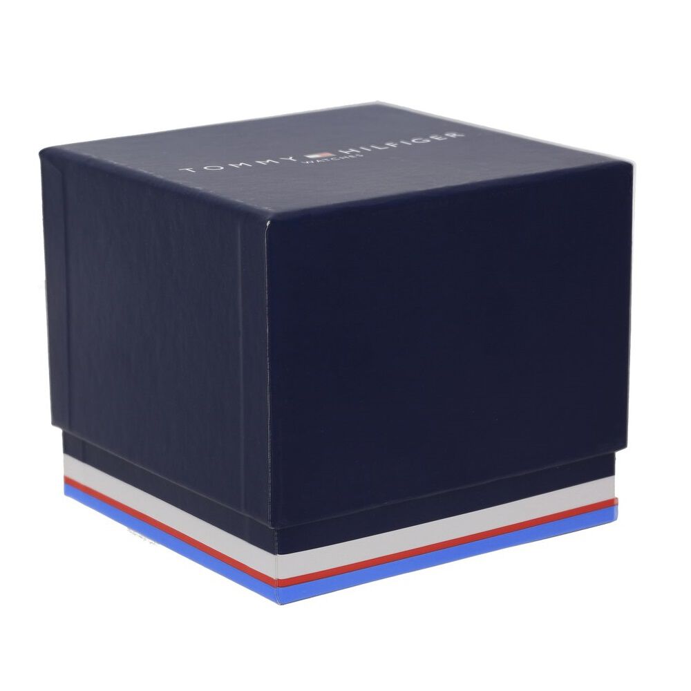 Tommy Hilfiger Quartz Multifunction Blue Dial Metal Strap Watch for Men-NCTH1791242