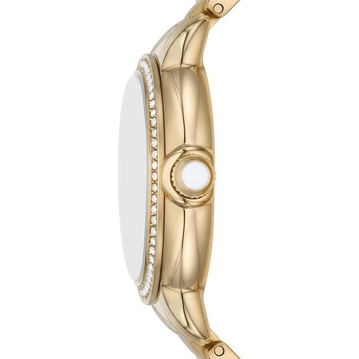 EMPORIO ARMANI Women Ruggero AR11609