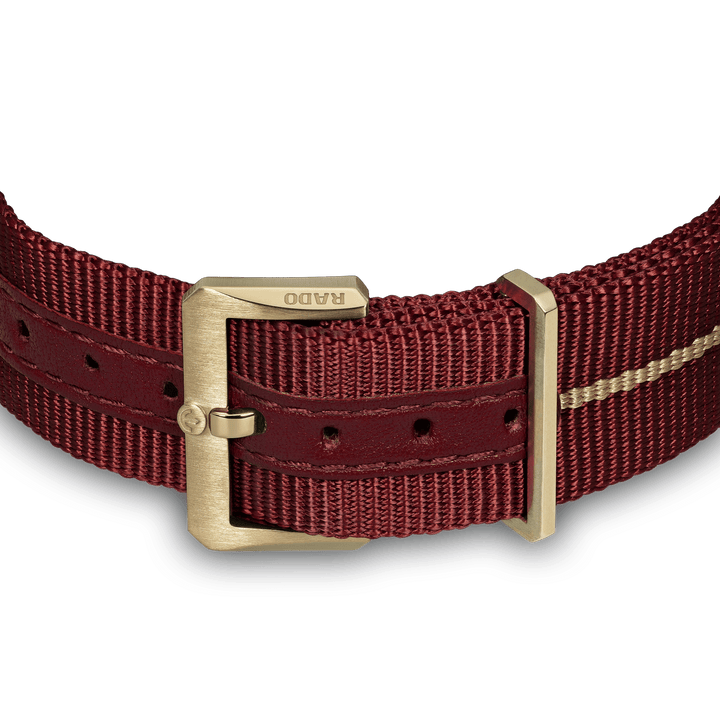 Rado Captain Cook Automatic Bronze R32504407