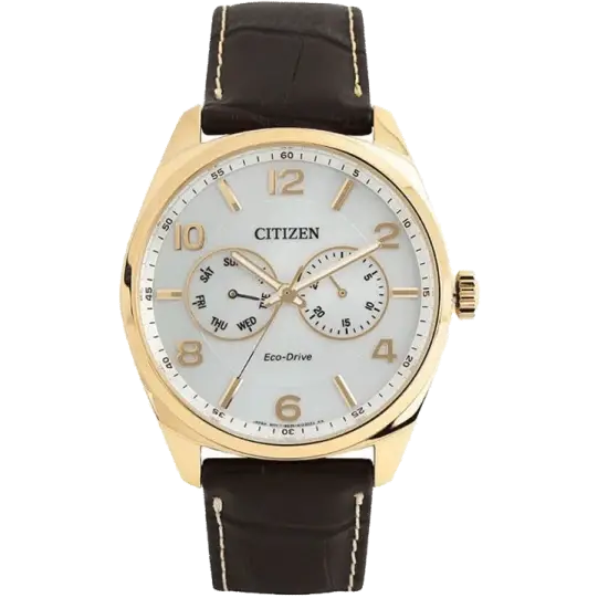 Citizen AO9024-08A Men Watch