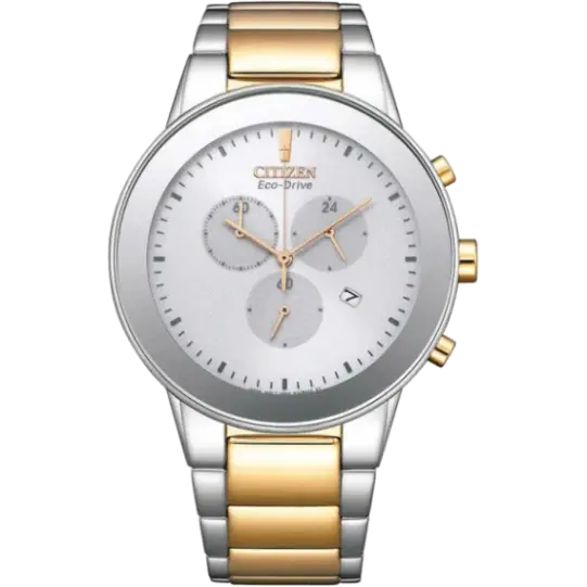 Citizen AT2244-84A Men Watch