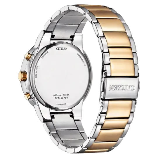 Citizen AT2244-84X Men Watch