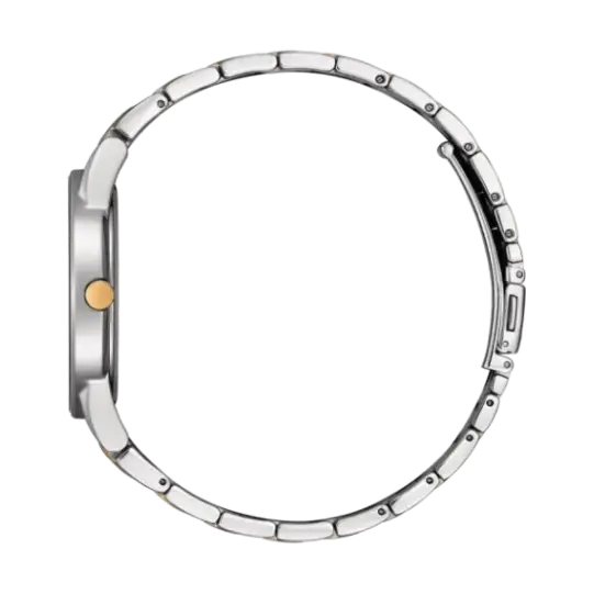 Citizen AU1064-85X Men Watch