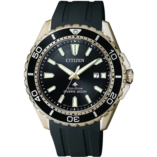 Citizen BN0193-17E Men Watch