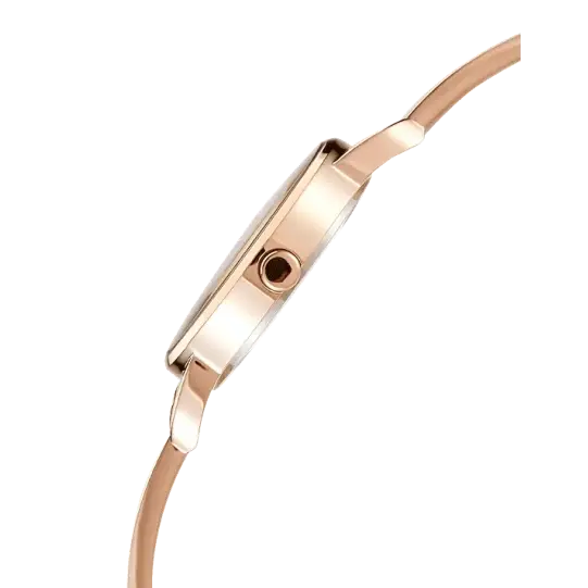 Citizen EZ6373-58X Women Watch