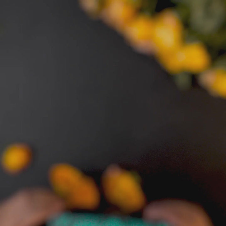 Earnshaw Drake Skeleton Automatic Automatic Turquoise Black