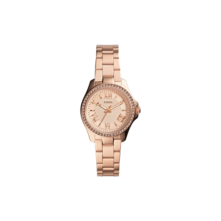 Fossil AM4578