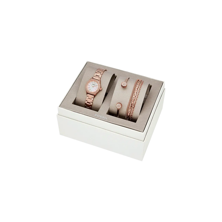 Fossil BQ3148SET I Factory Outlet