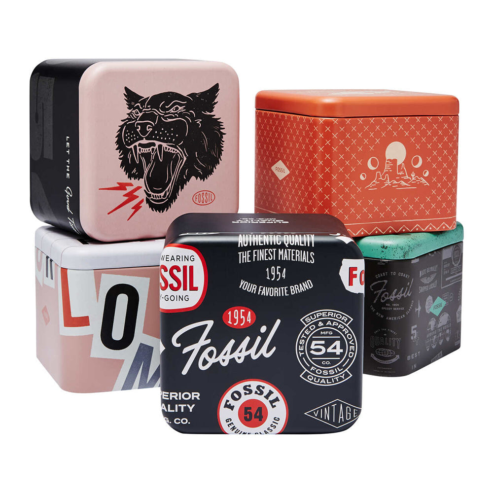 FOSSIL Men Fossil Blu - FS6034I