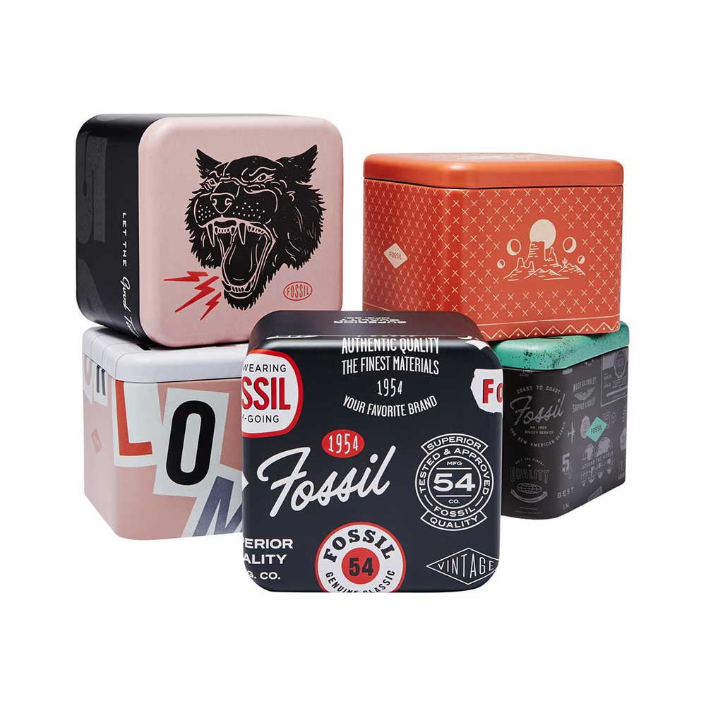 FOSSIL Men Fossil Blu - FS6038