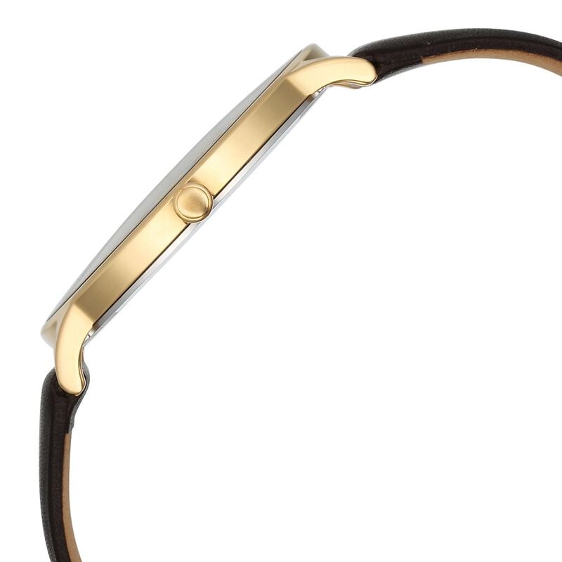Titan Nebula Lustre NU5064DL06 Grey Dial Men&