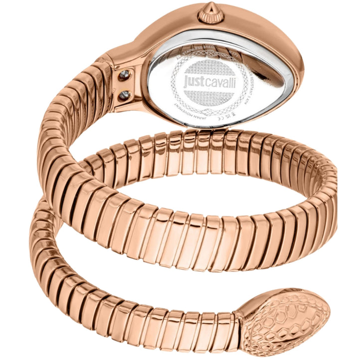 Just Cavalli JC1L371M0045 Silver Dial Women&