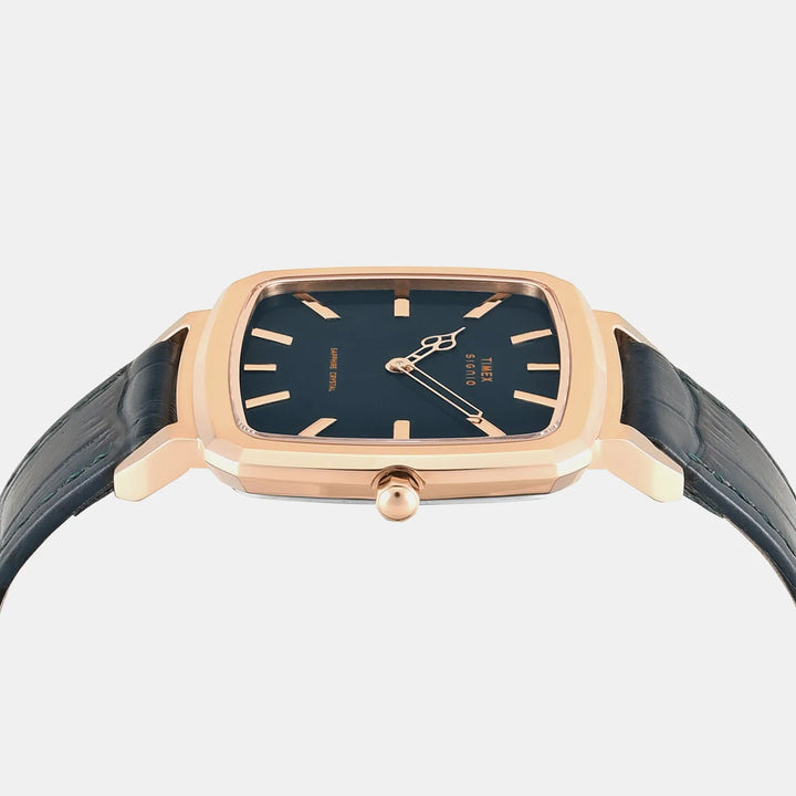 Timex Signio TWEG34100 Teal Dial Men&