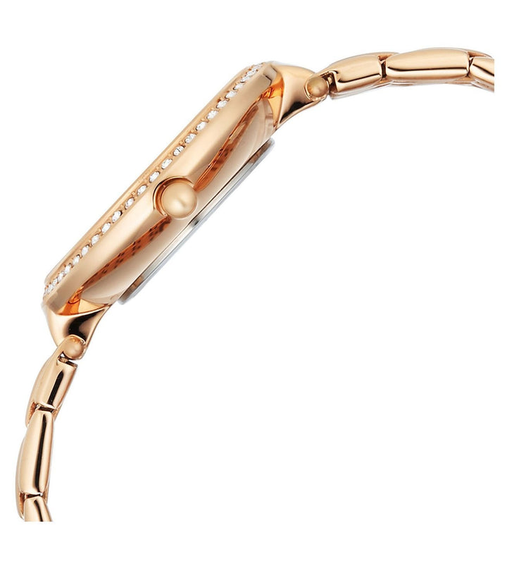 Titan Raga Allure 2793WM01 Brown Mother of Pearl Dial Women&
