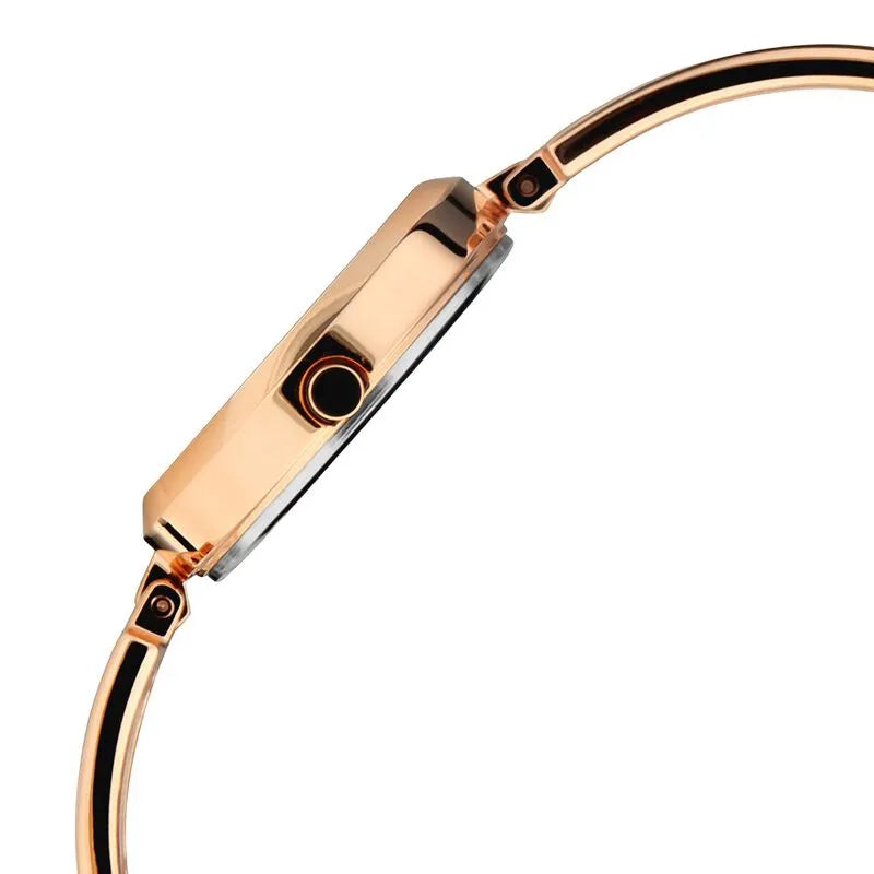 Titan Raga Viva NU2622WM01 Rose Gold Dial Women&